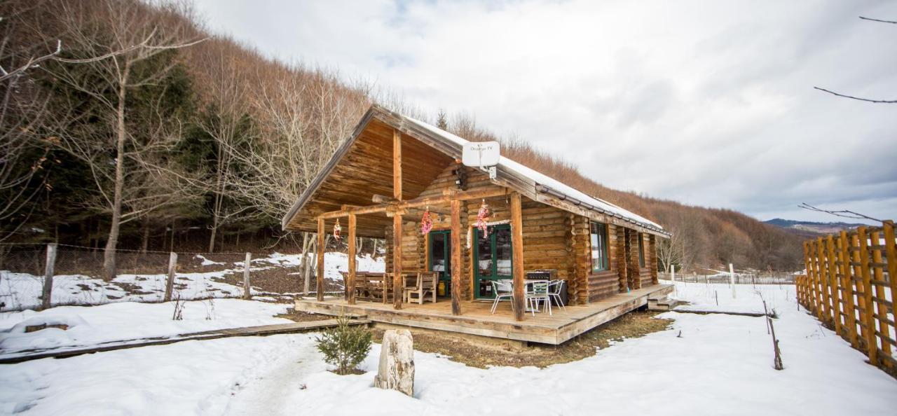 Cabana La Pantiru Valeni-Stinisoara Zewnętrze zdjęcie